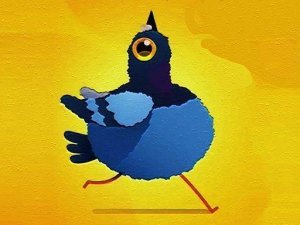 Pleasant Bird Picture Puzzle