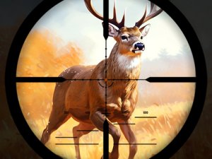 Wild Hunting Clash Online Game