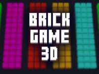 Brick Game 3D Online Puzzle