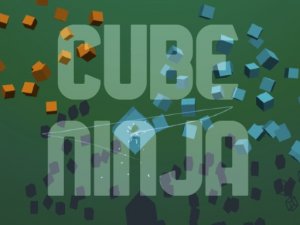 Cube Ninja Online Game