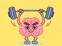 Perfect Brain 3D Puzzle Online Game