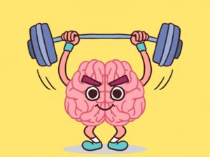 Perfect Brain 3D Puzzle Online Game