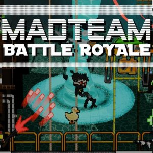 Team Battle Royale Online Game
